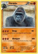 Harambe