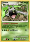 Torterra