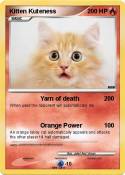 Kitten Kuteness
