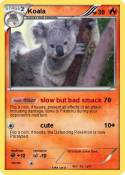 Koala