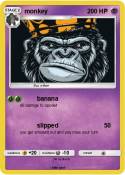 monkey