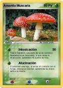 Amanita