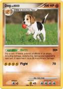Dog