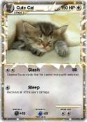 Cute Cat