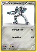 energy warrior