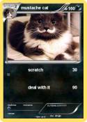 mustache cat