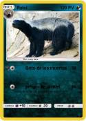 Ratel