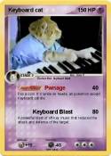 Keyboard cat
