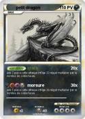 petit dragon