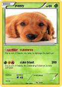 puppy