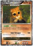 Chat Potté