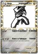 Ninja 30000000