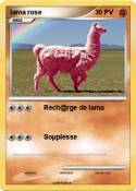 lama rose