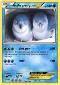 little penguin