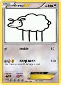 sheep