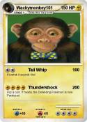 Wackymonkey101