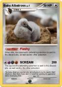 Baby Albatross