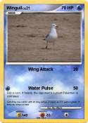 Wingull