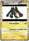 zygarde (100%)