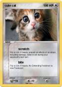 cute cat