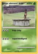 berger allemand