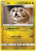 cat