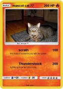 mascot cat 77