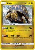 Turtle