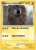 beauceron timbe
