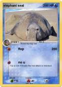 elephant seal