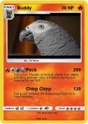 Buddy