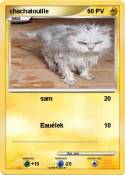 chachatouille