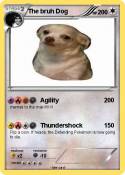 The bruh Dog