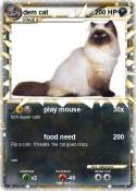 dem cat
