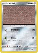 Cell Wall