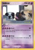 bo