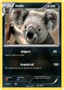koala