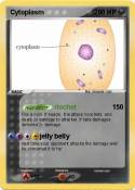 Cytoplasm