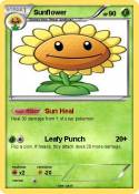 Sunflower