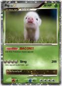 Pig