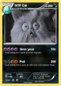 WTF Cat