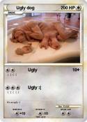 Ugly dog