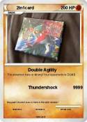 2In1card