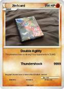 2In1card
