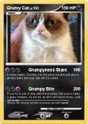Grumy Cat