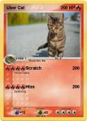 Uber Cat