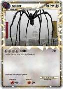 spider