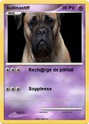 bullmastiff