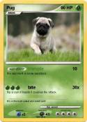 Pug