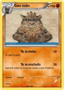 Gato Indio